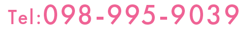 TEL 098-995-9039